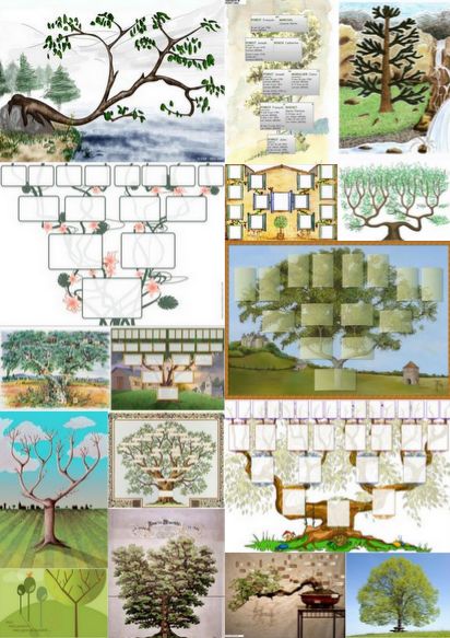 dossier genealogique